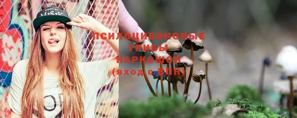 гидропоника Абдулино