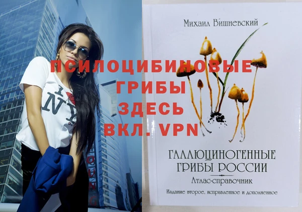 МДМА Алексеевка