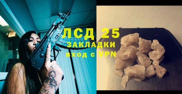 крисы Абаза