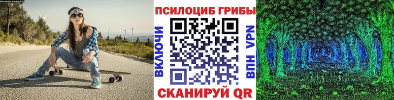 закладка  Красавино  Псилоцибиновые грибы GOLDEN TEACHER 